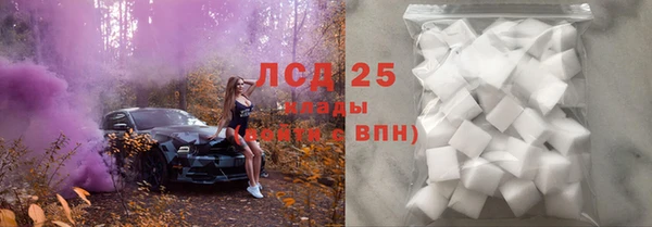 прущий лед Алзамай